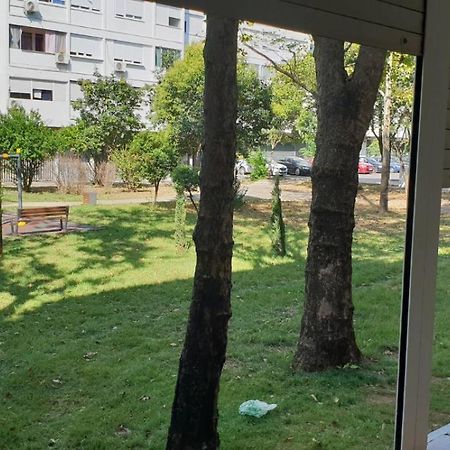 Yellow Apartment, Central 포드고리차 외부 사진